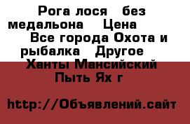 Рога лося , без медальона. › Цена ­ 15 000 - Все города Охота и рыбалка » Другое   . Ханты-Мансийский,Пыть-Ях г.